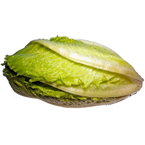 Alface