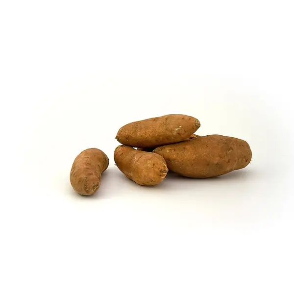 Batata-Doce