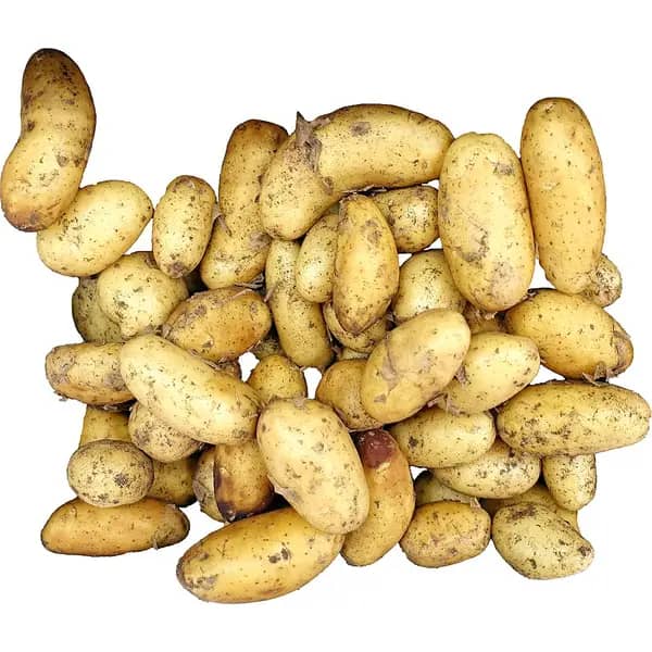 Batata Rena