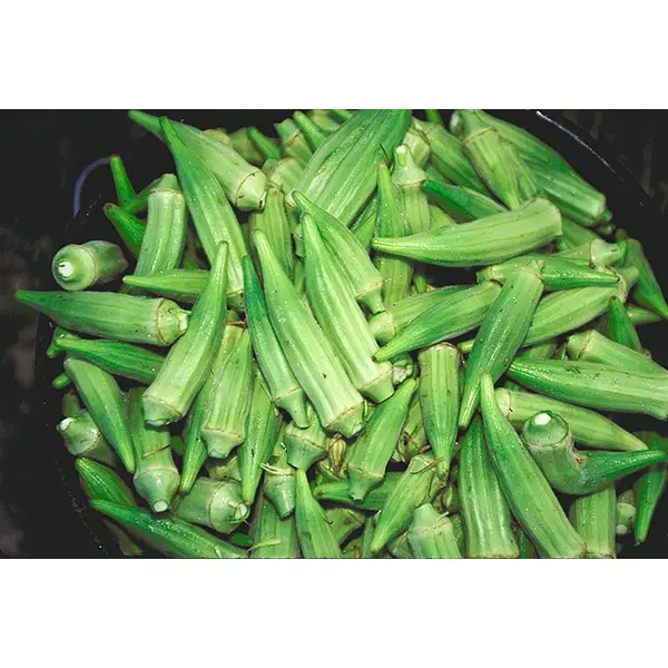 Okra 500 g