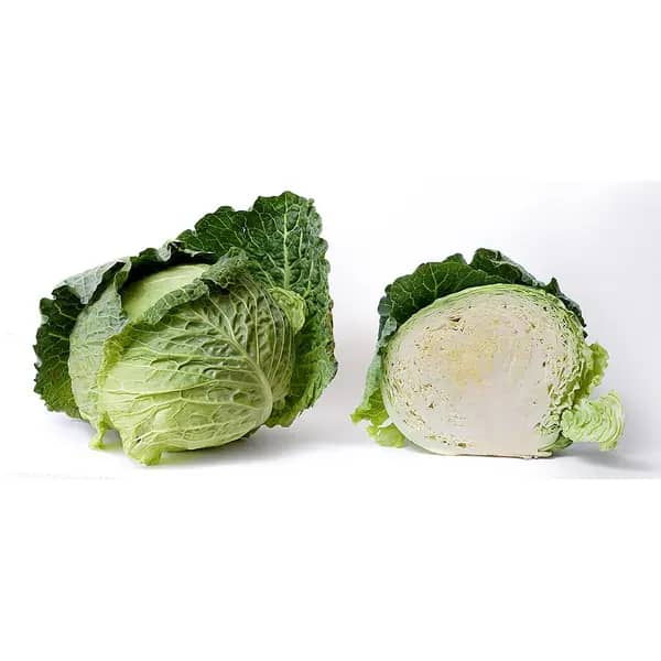 Savoy Cabbage