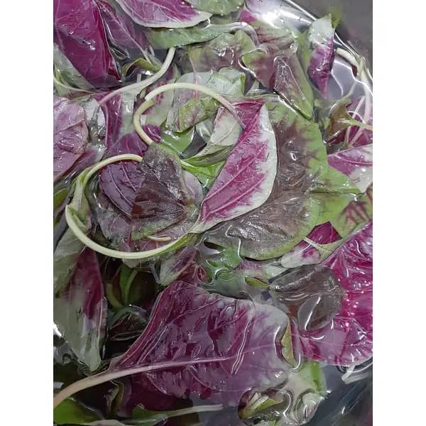 Gimboa Greens (Amaranth)